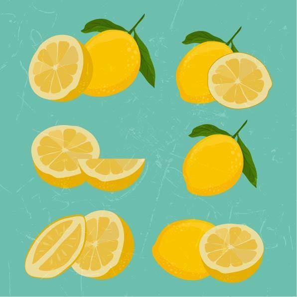 多个手绘柠檬