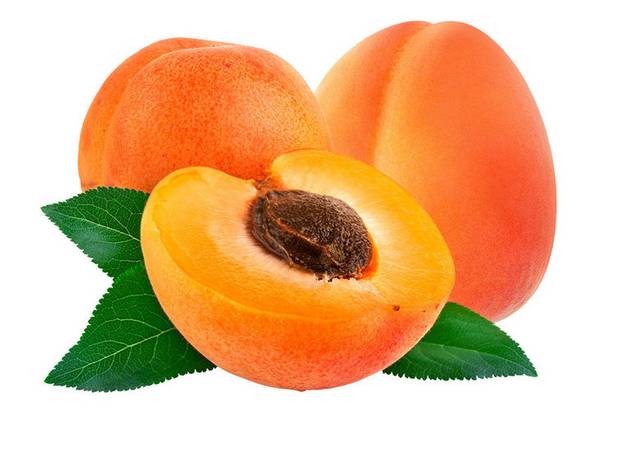 水果素材杏
