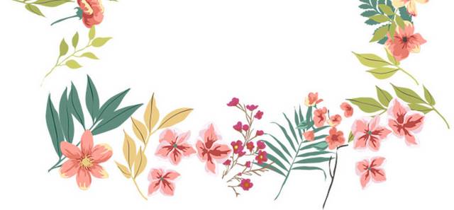 花卉边框素材_图品汇
