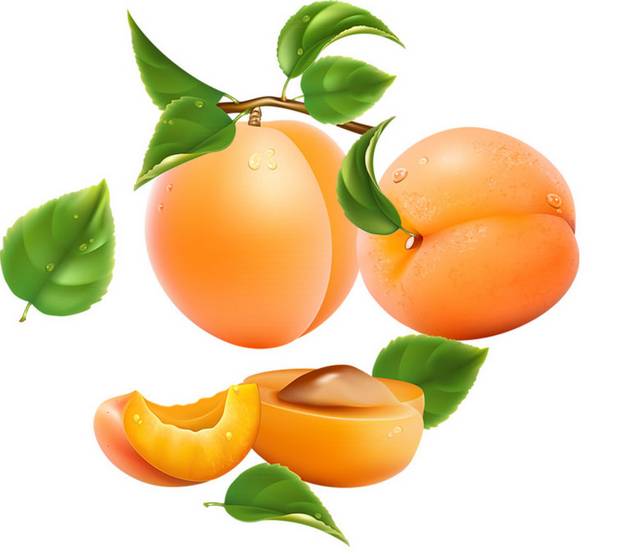 美味的杏子