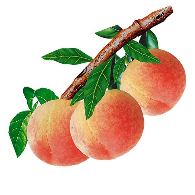 树上的桃子