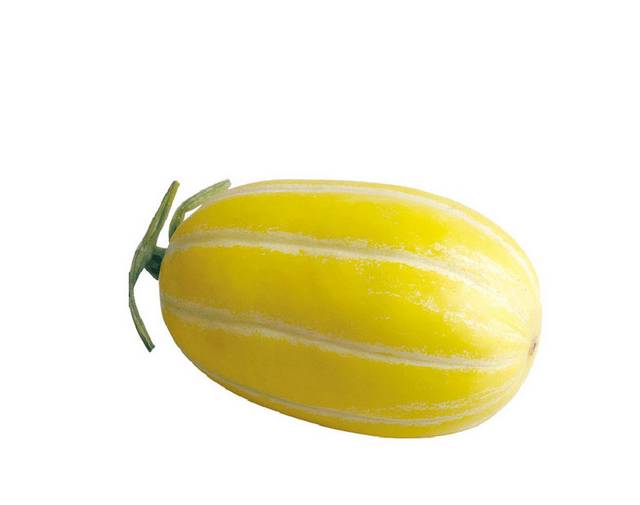 一个黄色香瓜