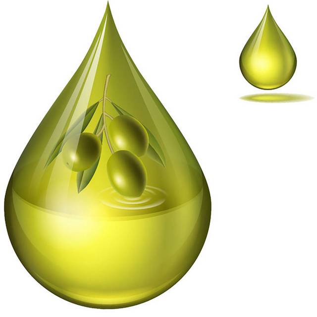 橄榄油设计素材