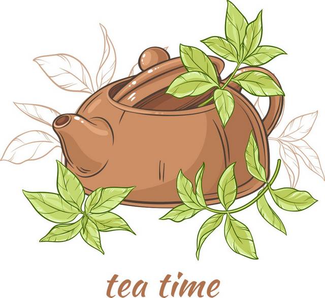 茶叶插画设计素材