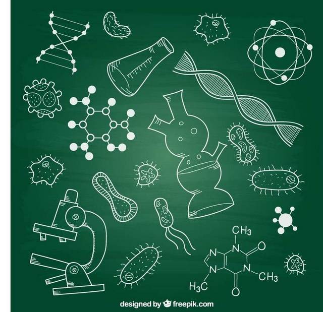 手绘素材生物课的黑板