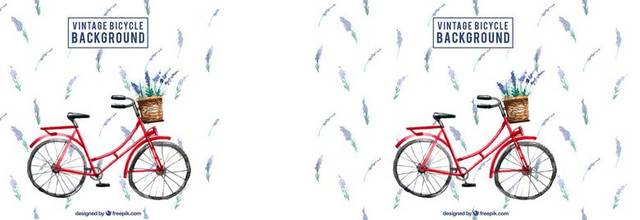 手绘自行车和鲜花