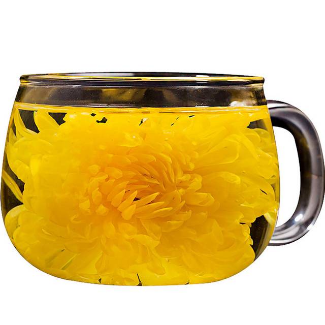 一杯菊花茶素材下载
