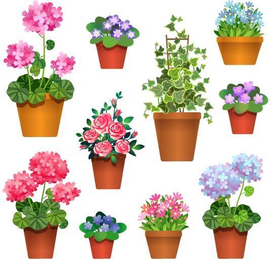 植物盆栽素材_图品汇