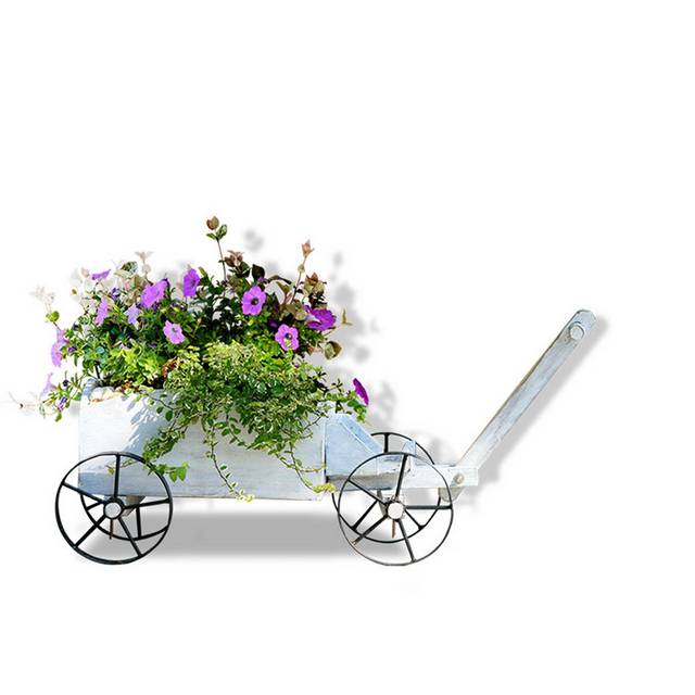 绿色植物小车