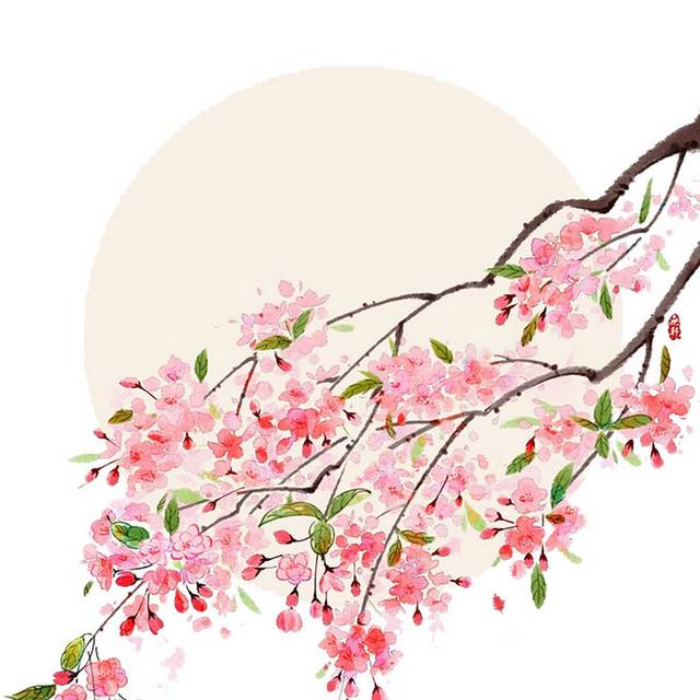一树枝红色花朵