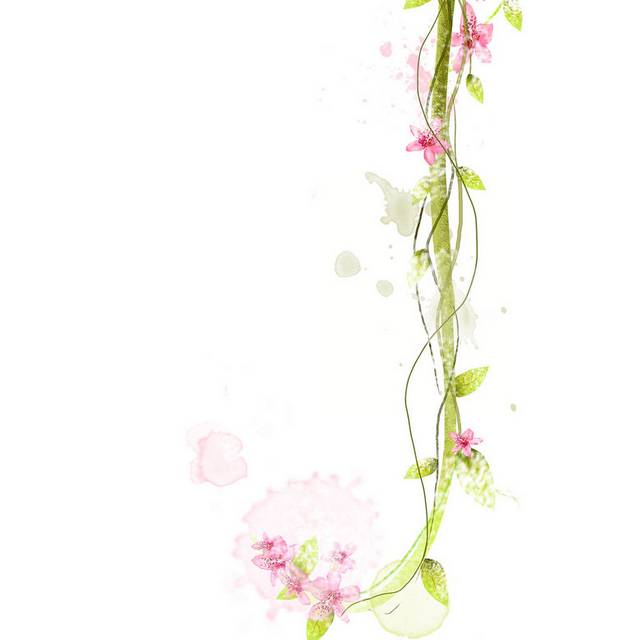 粉色花素材
