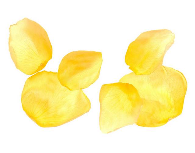 黄色抽象花瓣