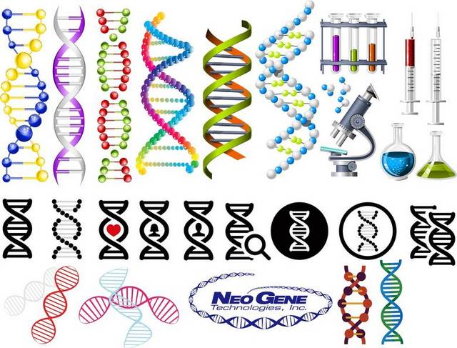 多种DNA结构图