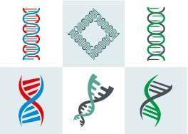 DNA结构合集