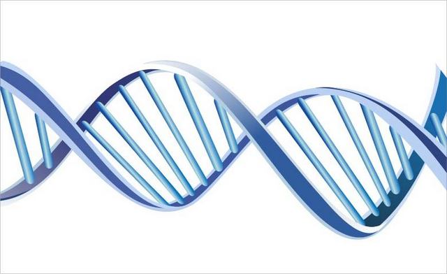 蓝色DNA模型