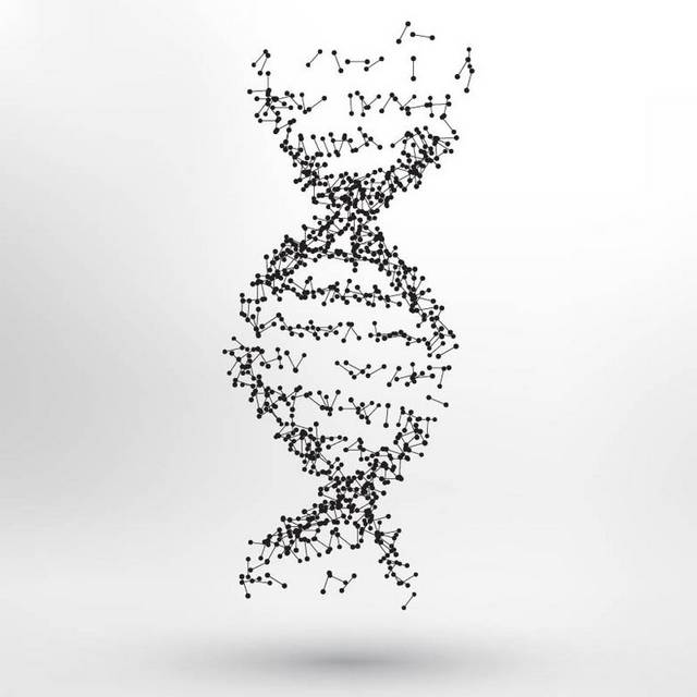 创意DNA结构图