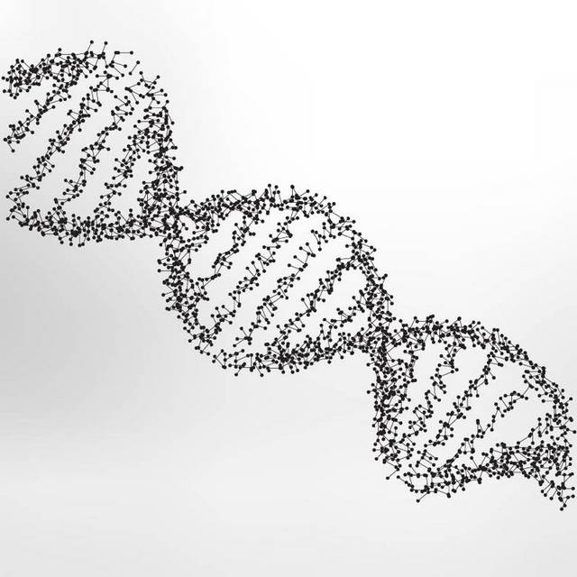 散点DNA结构图