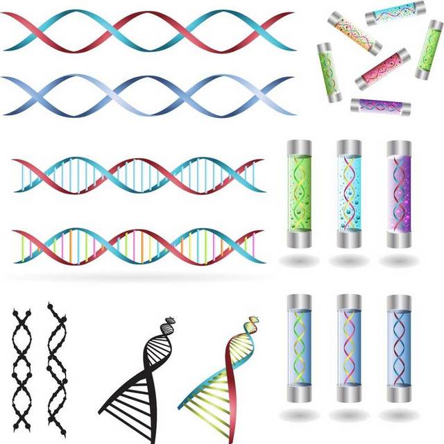 DNA结构图合集
