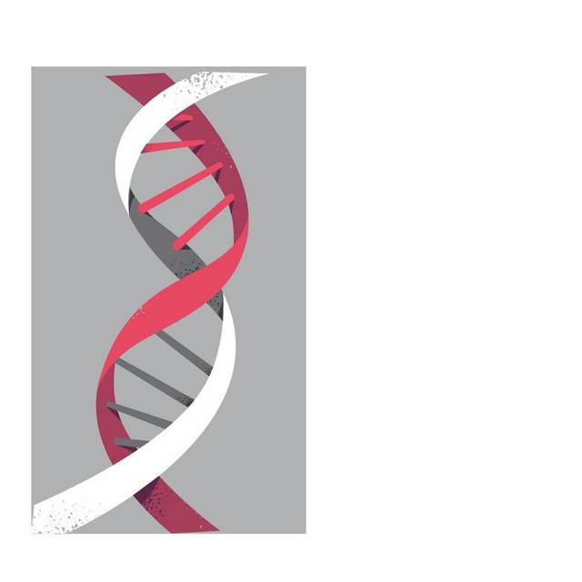 红白DNA结构图