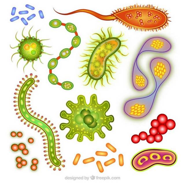多种细菌病毒素材