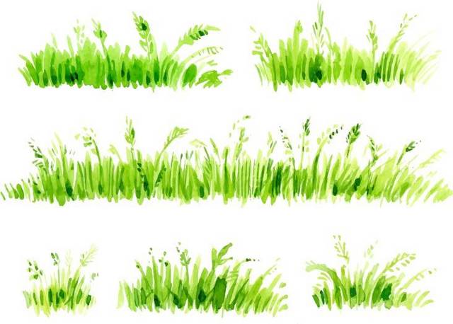 翠绿的小草合集
