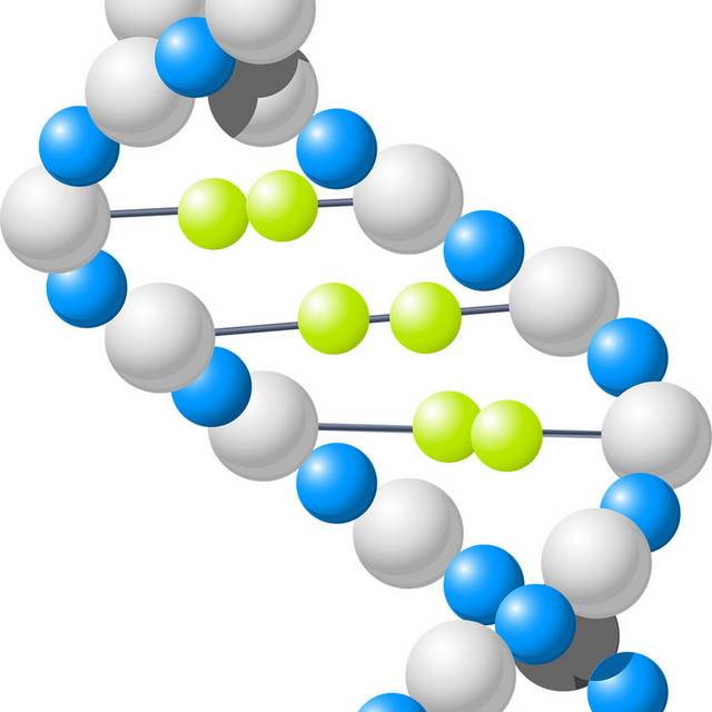 DNA分子元素