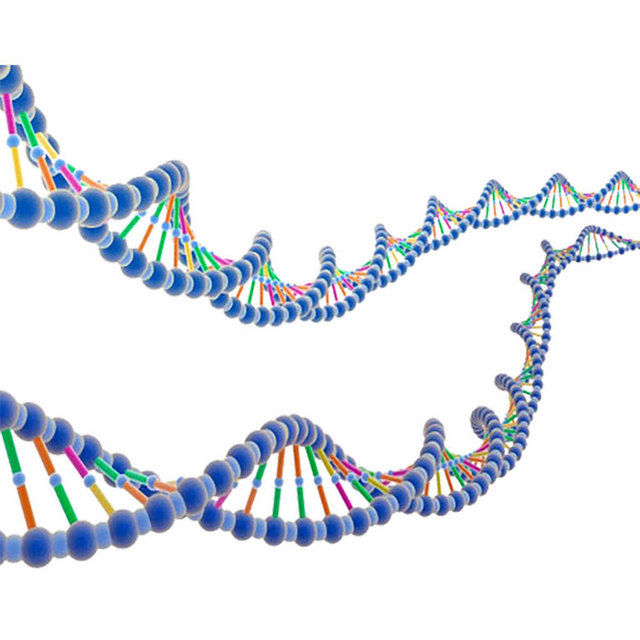 创意DNA双螺旋结构素材