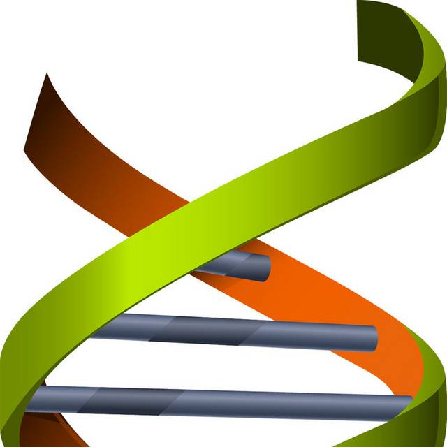 DNA矢量元素
