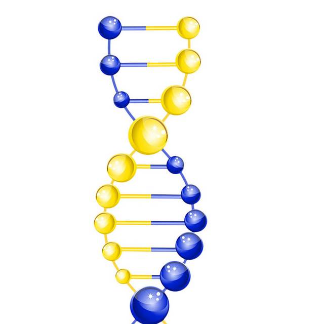 DNA模型元素