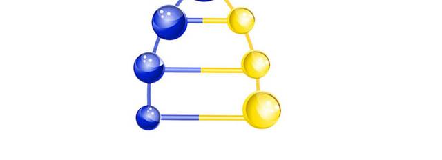 DNA模型元素