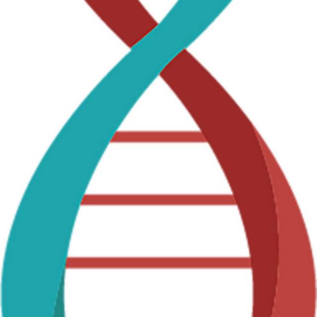 DNA矢量素材