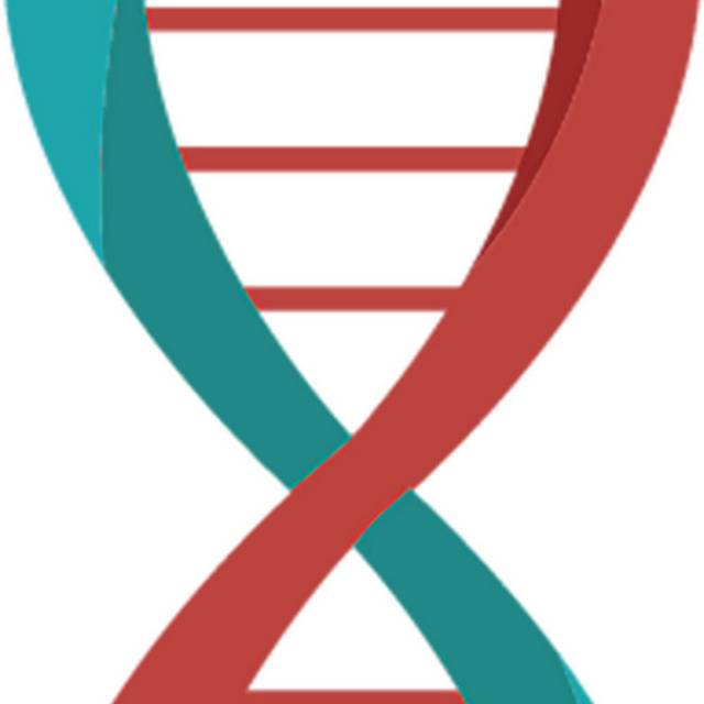 DNA矢量素材