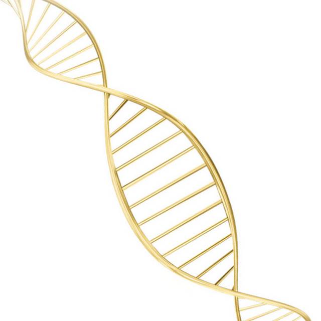 DNA设计素材