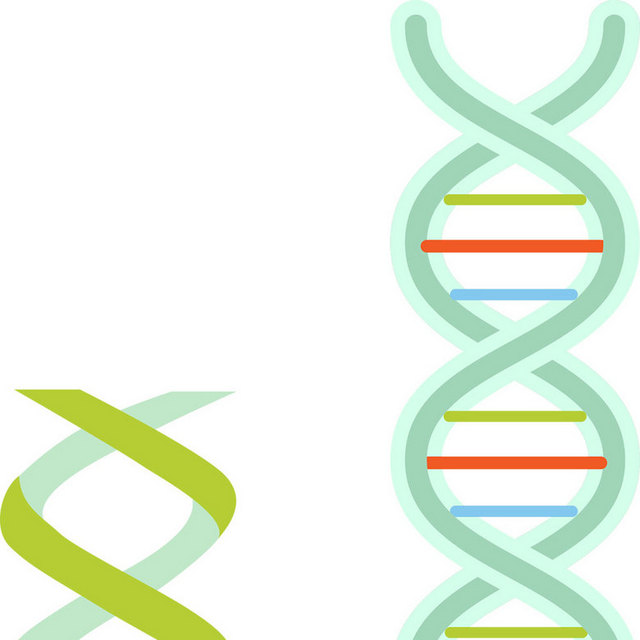 DNA卡通元素