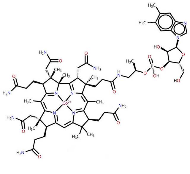 分子图素材