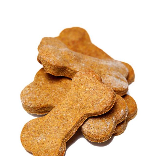 狗骨头食物素材