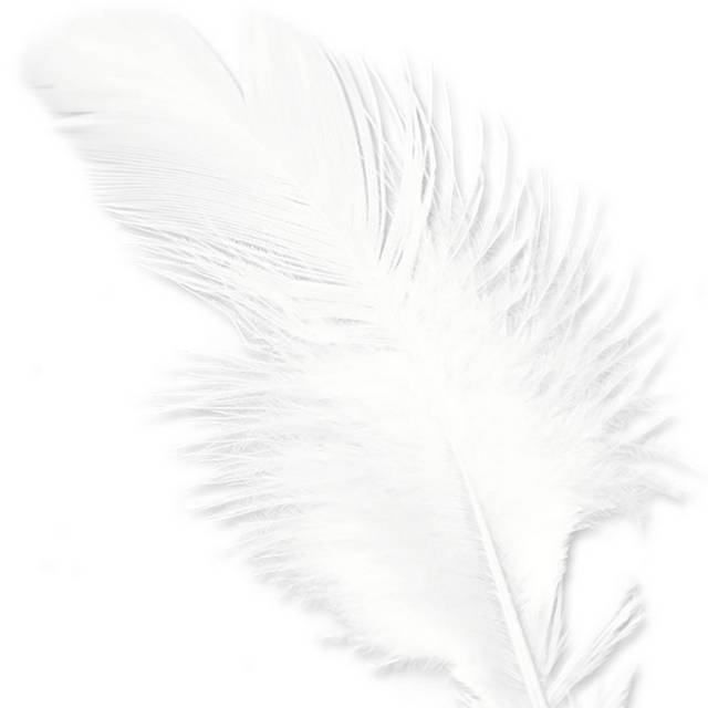 白色羽毛元素