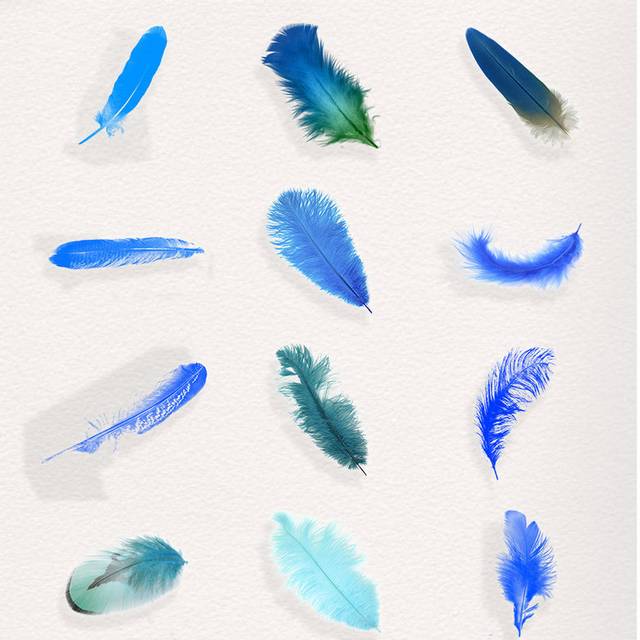 多种手绘蓝绿色羽毛