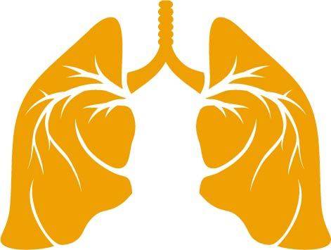 橙色肺部轮廓