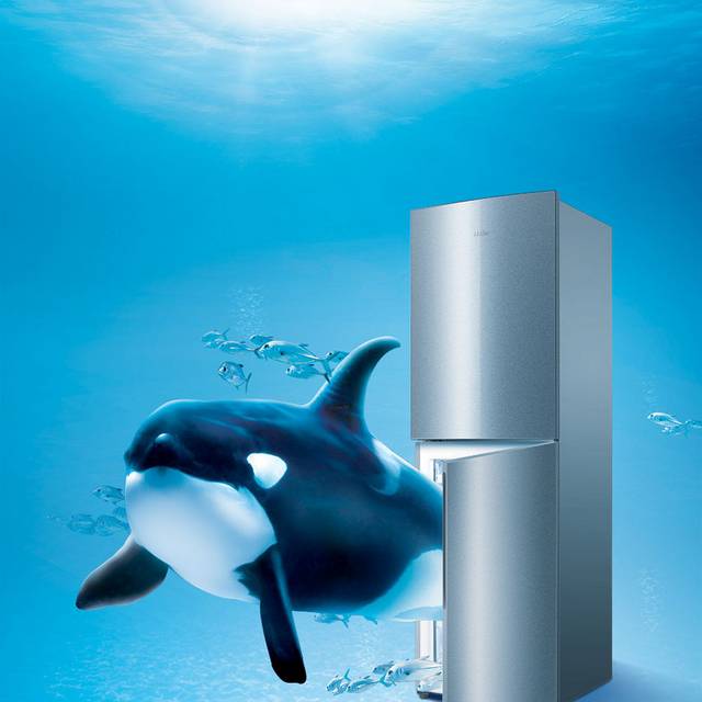 海豚冰箱