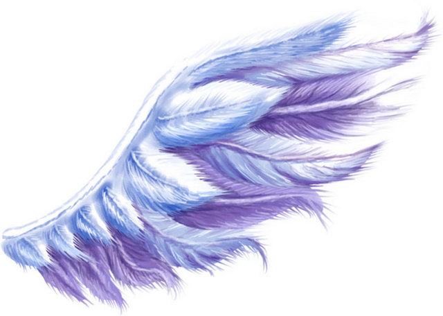 蓝紫色翅膀