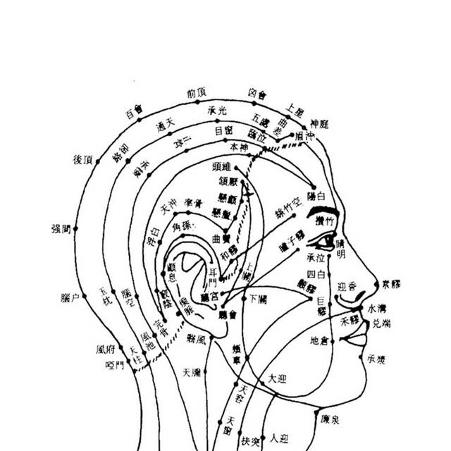 头部穴位图