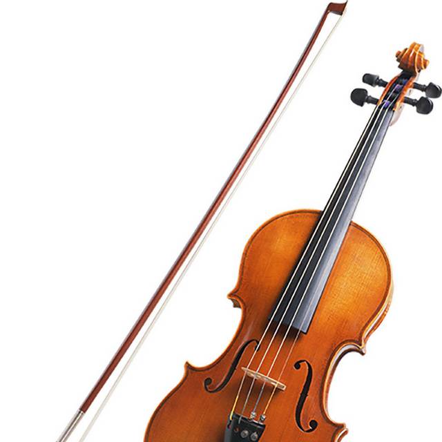精美的小提琴