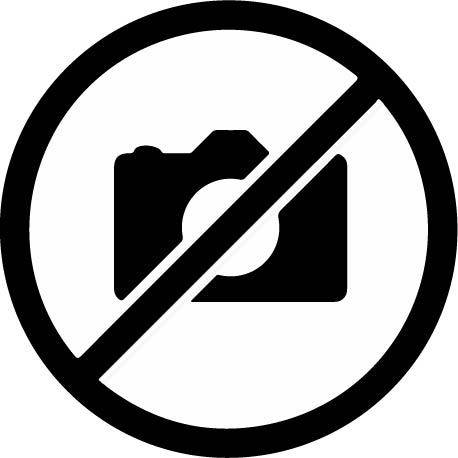 黑色禁止拍照标志