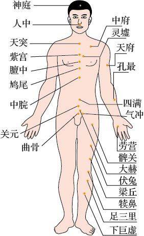 人体穴位图正面