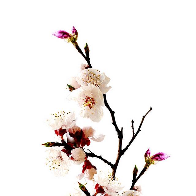 好看的插花瓶
