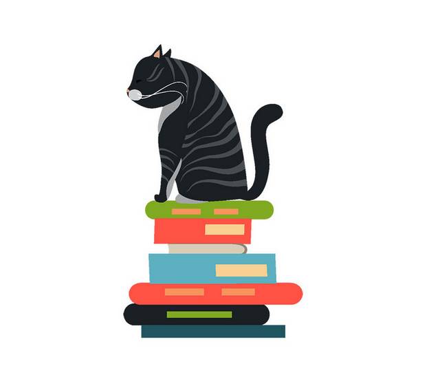 一堆书上的猫
