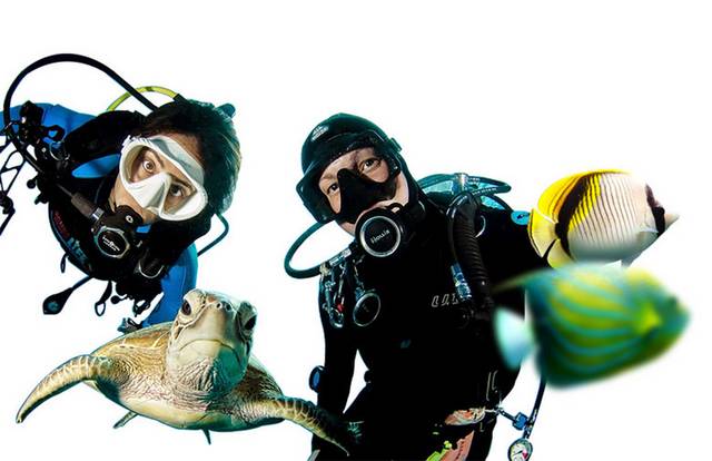 潜水员和海鱼