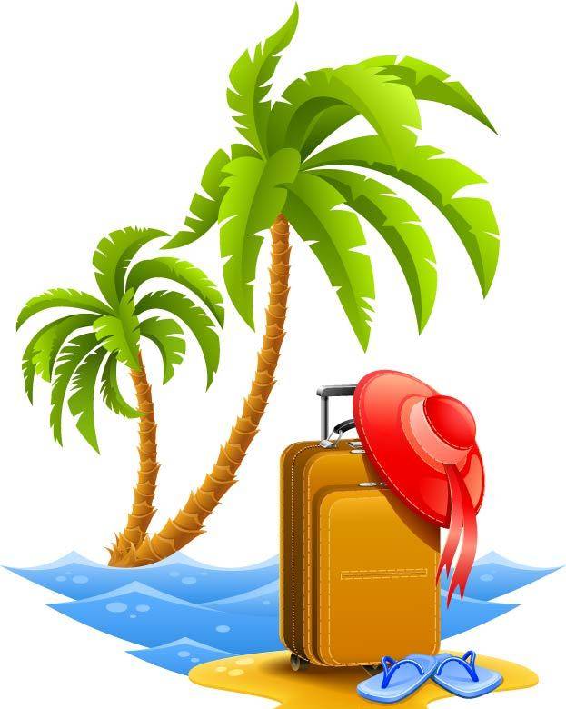椰子树下的旅行箱