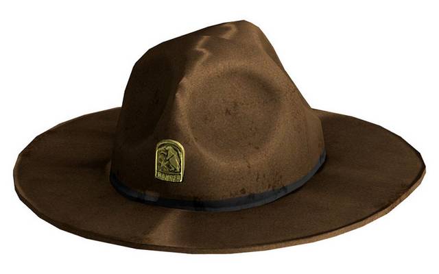 棕色帽子元素